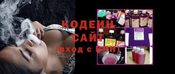 таблы Гусев