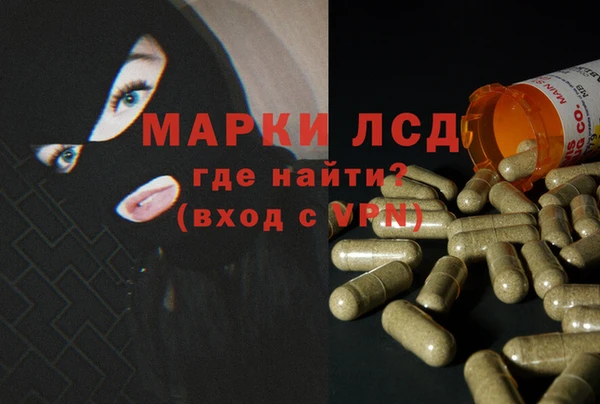 эйфоретик Алзамай