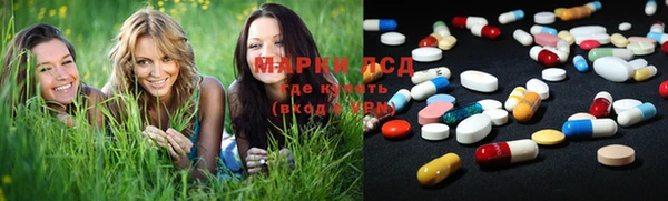 эйфоретик Алзамай