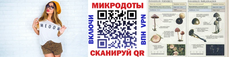 Псилоцибиновые грибы Magic Shrooms  что такое   Новая Ладога 
