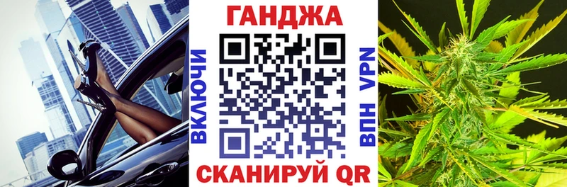 закладка  Новая Ладога  Конопля ГИДРОПОН 